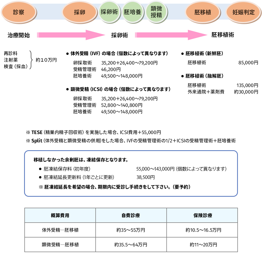 ART　　自費診療費用　（保険診療は自費の3割負担です）